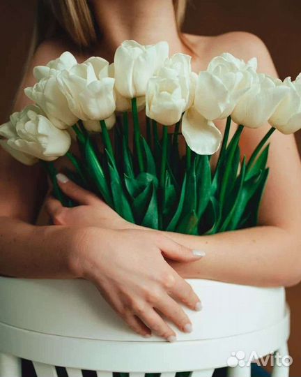 Тюльпаны опт к сезону 2024г