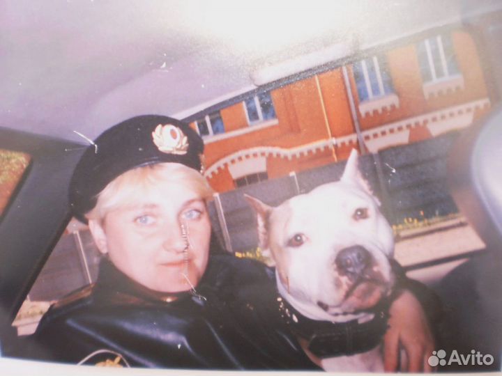 Дрессировка собак. Зоопсихолог