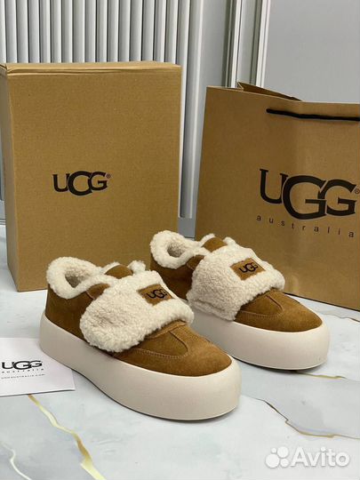 Кеды UGG