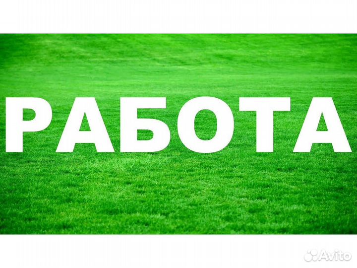 Водитель погрузчика Вахтой на склад дет. питания