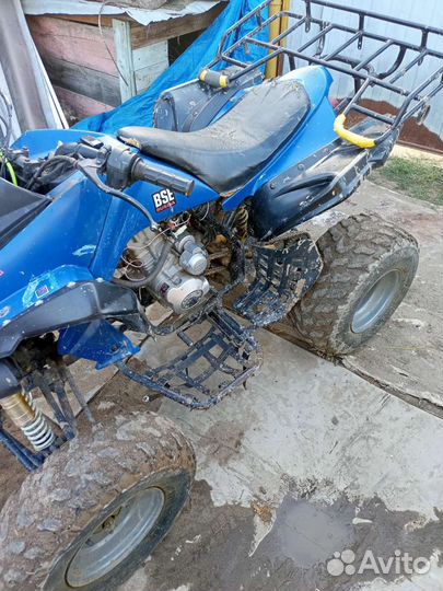 ATV 250 Wasabi