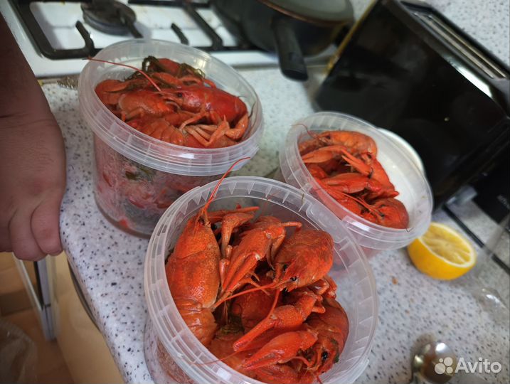 Раки