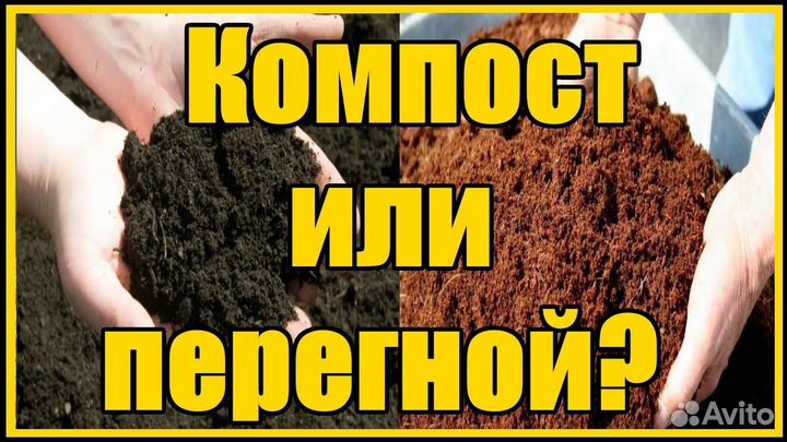 Перегной
