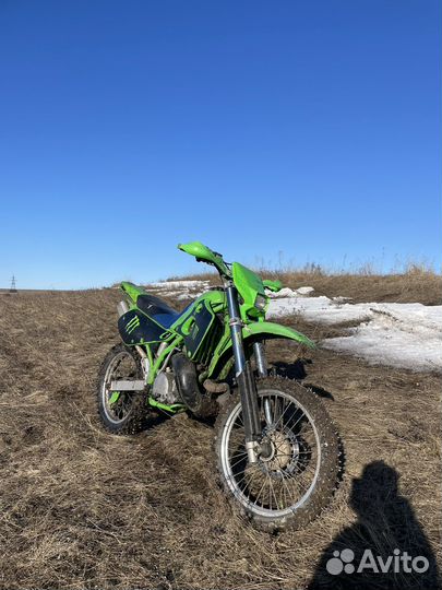 Kawasaki kdx250