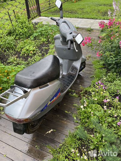 Honda lead 50