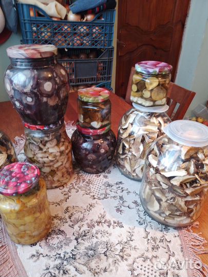 Продаю соленые грибы