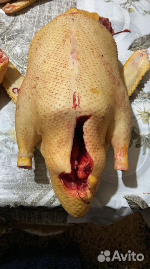 Утка с доставкой