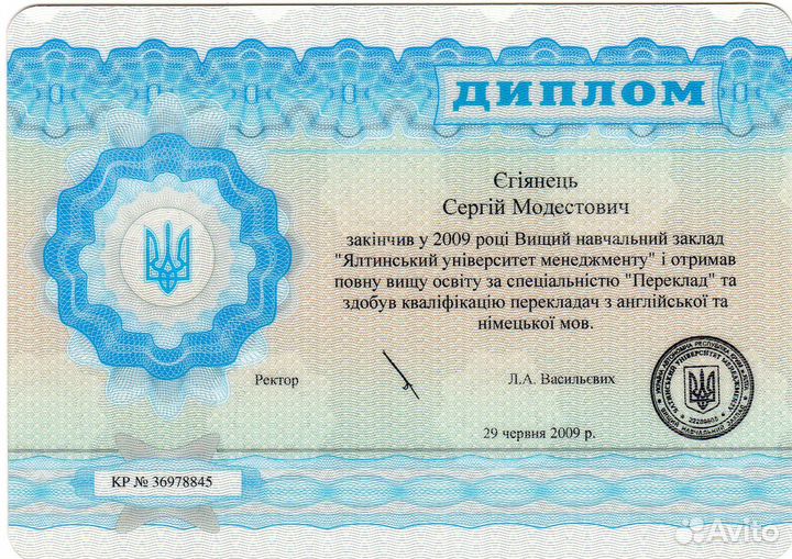 Журналист, переводчик, автор