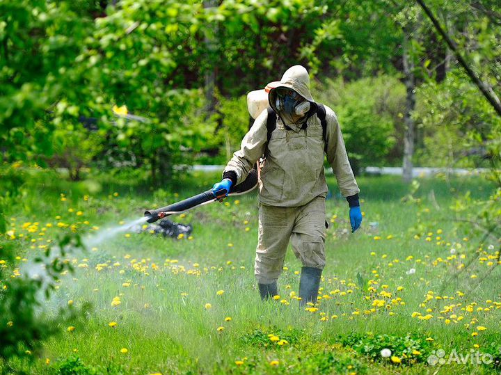 Клещи, тараканы, клопы, плесень, запахи, дез обр
