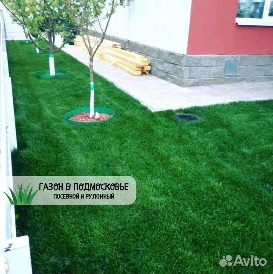 Газон. Рулонный газон