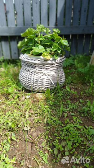 Корзина из ротанга