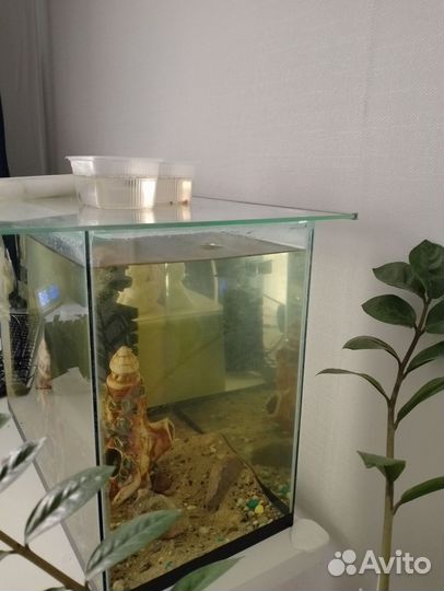 Аквариумы 35 л и 50 л