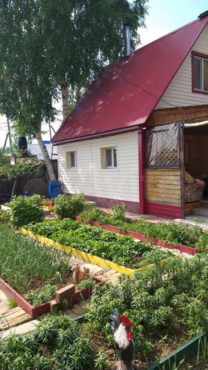 Дача 60 м² на участке 4,2 сот.