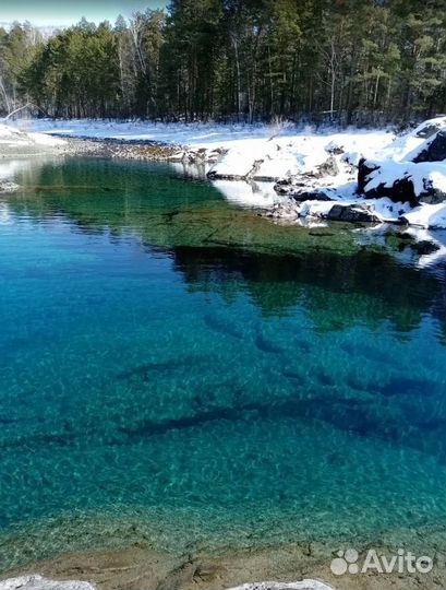 Тур путевка на Алтай зимой экскурсии 5-9 дн