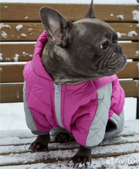 Утепленный комбинезон для собак