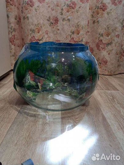 Аквариум