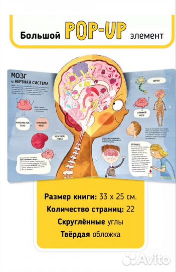 Книга с окошками Тело человека анатомия для детей