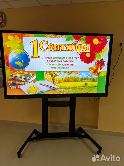 Интерактивная панель 65'