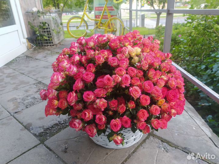 Розы, цветы с доставкой