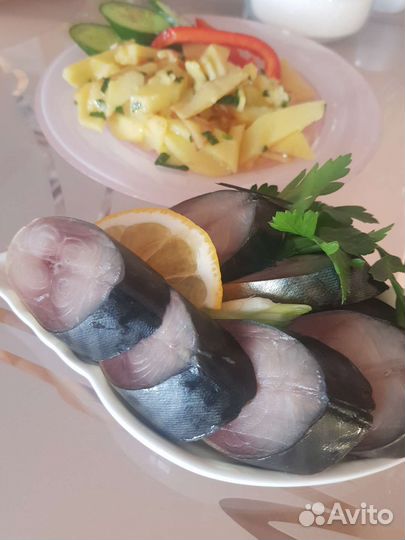 Скумбрия