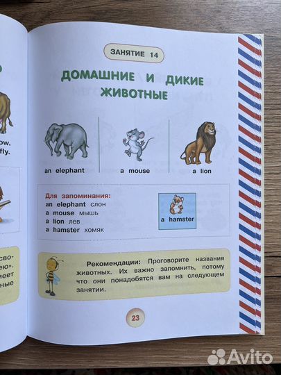 Английский для малышей 4-6 лет В.Державина