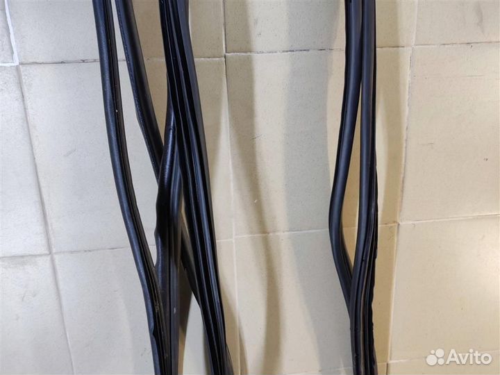 Уплотнители проемов дверей комплект Renault Sceni