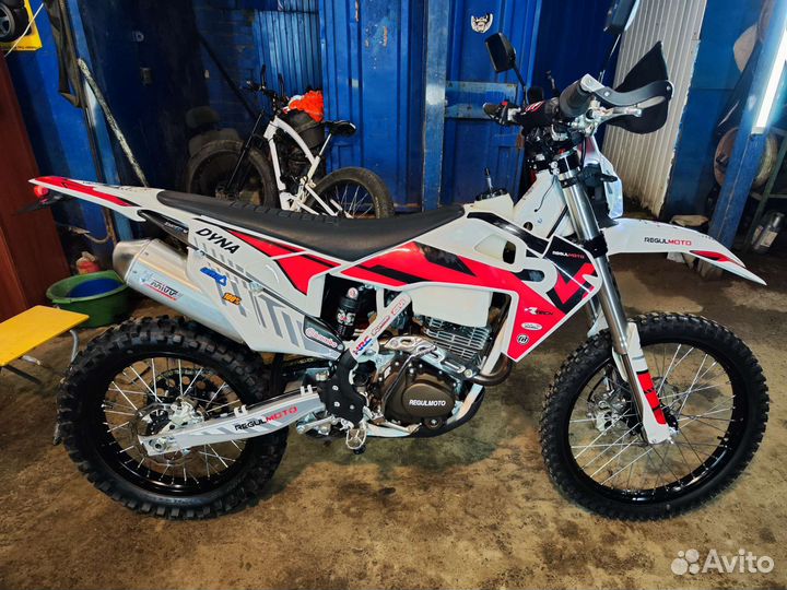 Regulmoto Dyna 2022
