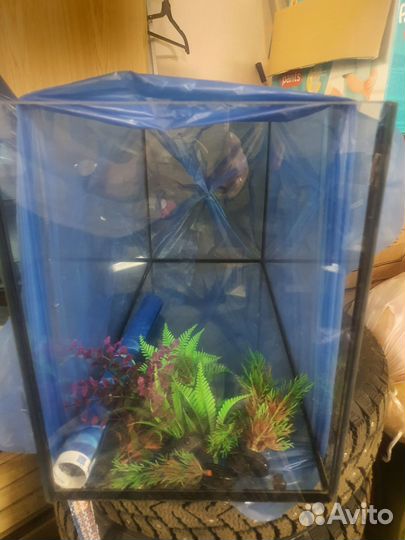 Продам аквариум б/у