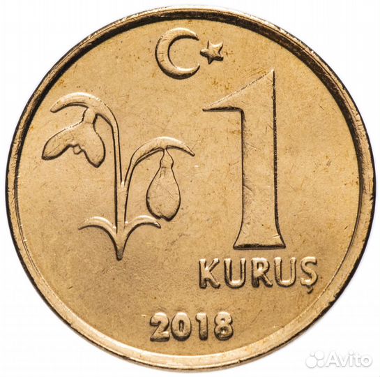 Иностранная ходячка (еврожелезки и прочее)