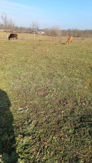 Участок 22,5 сот. (СНТ, ДНП)