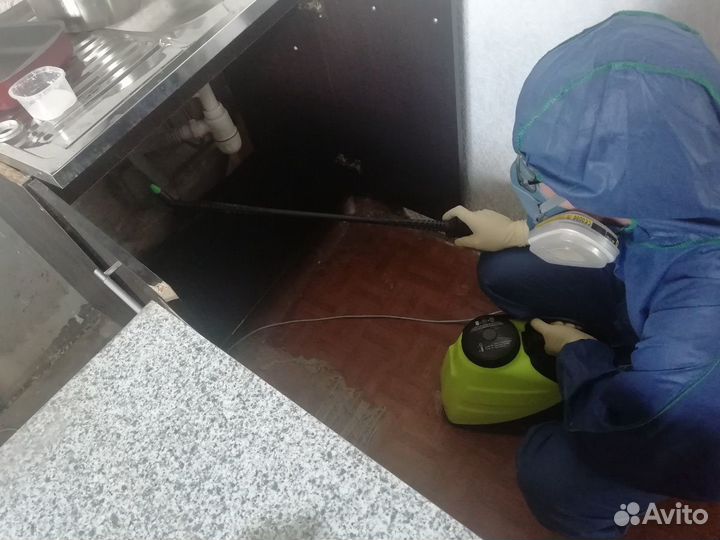 Травим тараканов, клопов, клещей, блох и др