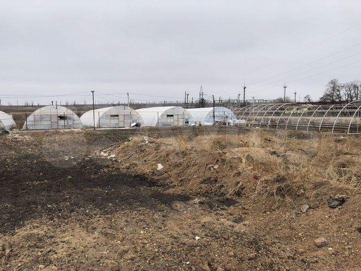 Производство, 50000 м²