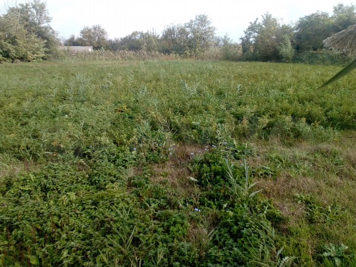 Участок 13 сот. (ИЖС)