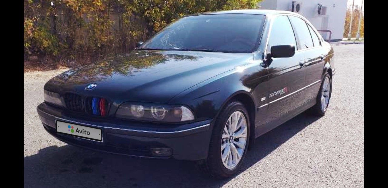 BMW 5 серия: фото владельца