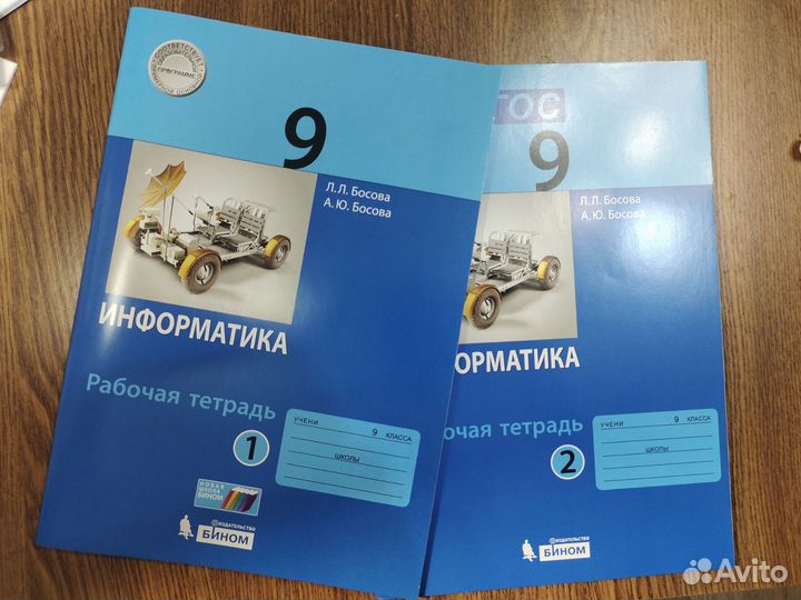 Рабочая тетрадь по информатике 9 класс