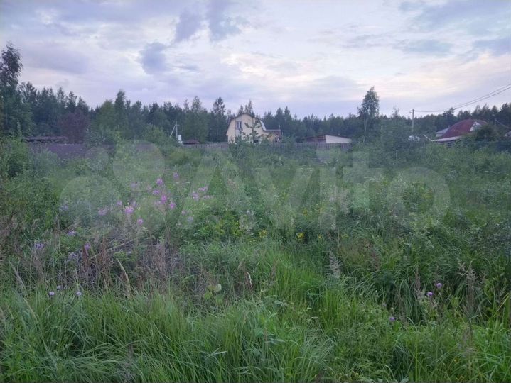 Участок 10 сот. (СНТ, ДНП)