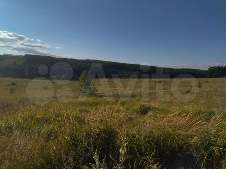 Участок 3,8 га (СНТ, ДНП)