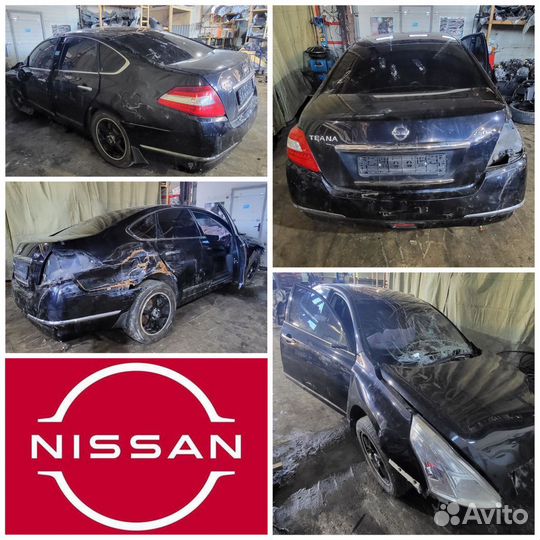Кузов Nissan teana J32 разбор