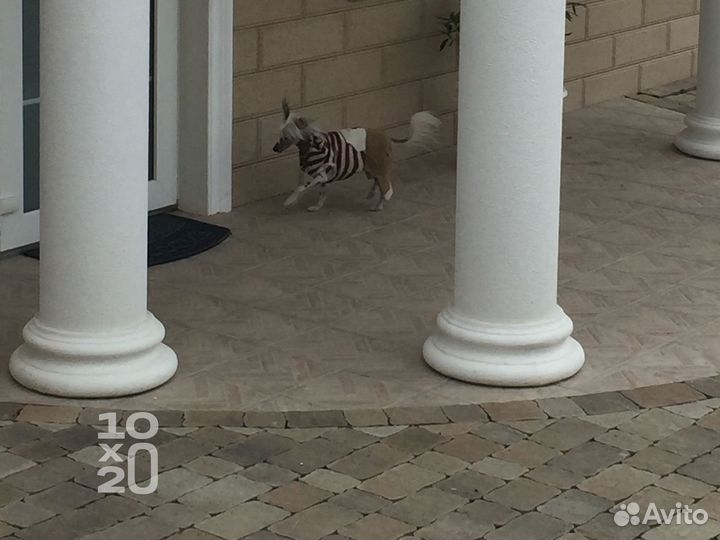 Тротуарная плитка, газонная решетка, бордюры