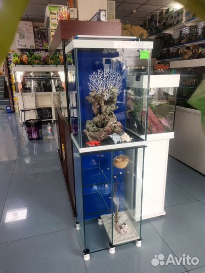 Аквариум и декор