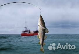 Морская рыбалка териберка