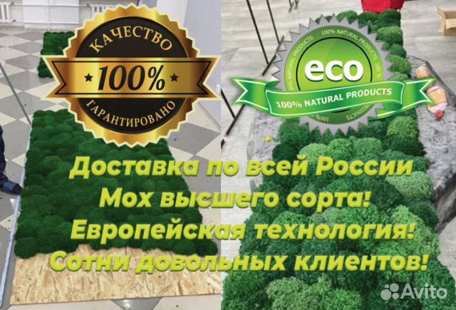Стабилизированный мох экодизайн,панно