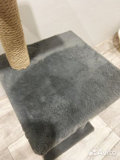 Когтеточка для кошек новая