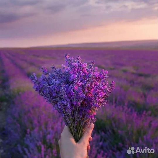 Джип туры в Алуште / джиппинг в Крыму / экскурсии