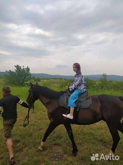 Конные прогулки г Новороссийск ст Натухаевскся
