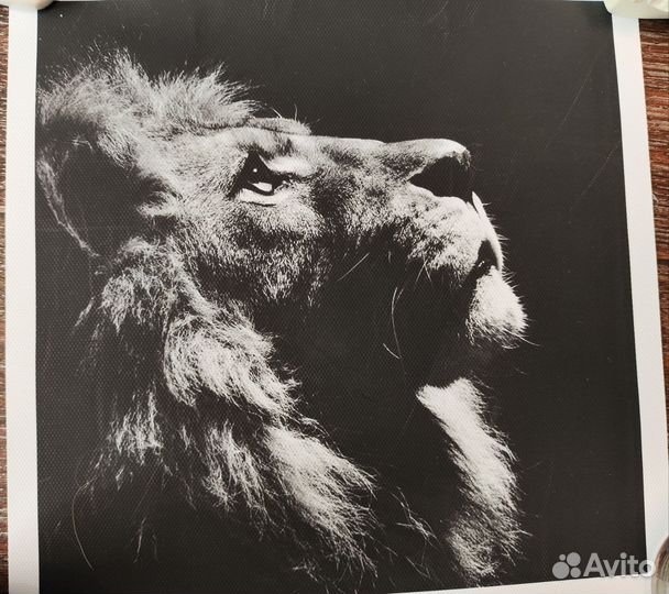 Постеры, печать на холсте