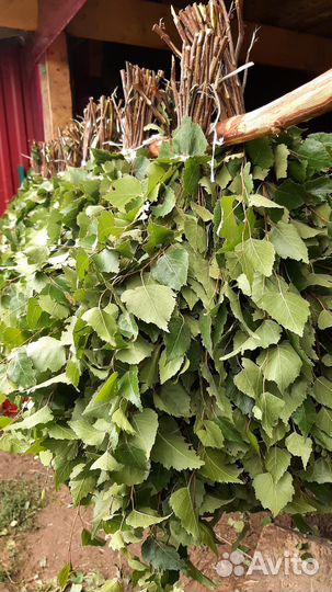 Веники банные