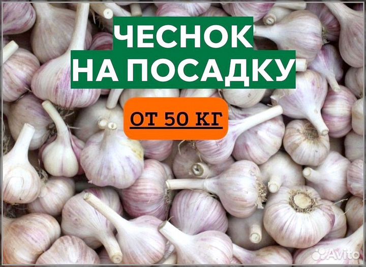Чеснок с доставкой