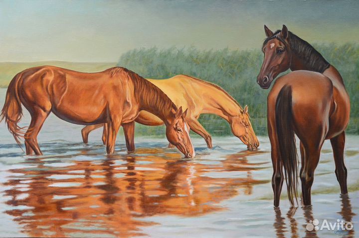 Картины с лошадьми на холсте,в графике