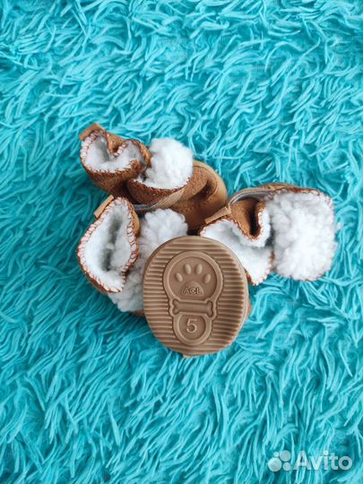 Одежда и обувь для маленьких собак